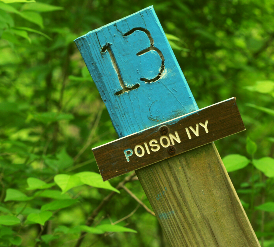 Poison Ivy, Poison Oak and Poison Sumac Prevention & Treatment